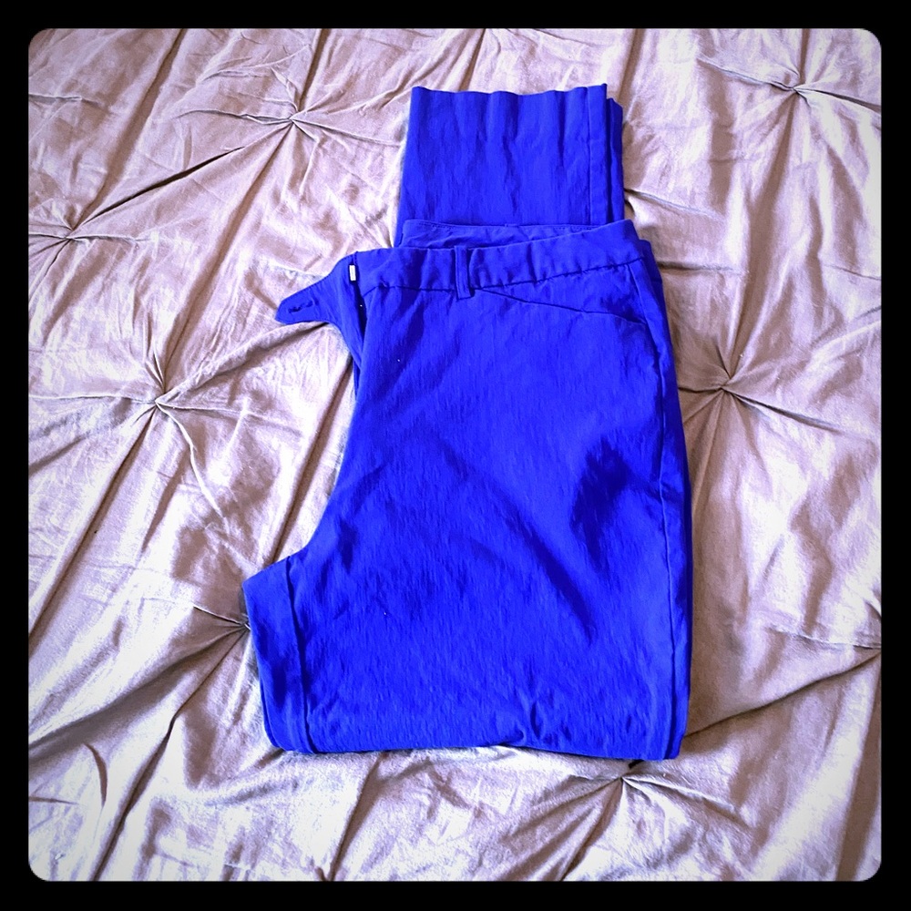 Purple dress pants